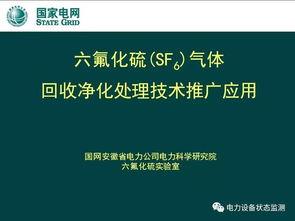 安徽电科院引领行业 六氟化硫（SF₆）气体回收净化处理技术的创新与推广应用